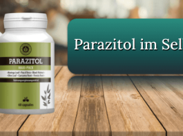 Parazitol Titelbild