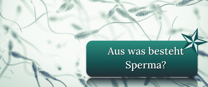Die Bestandteile von Sperma Sperma Bestandteile