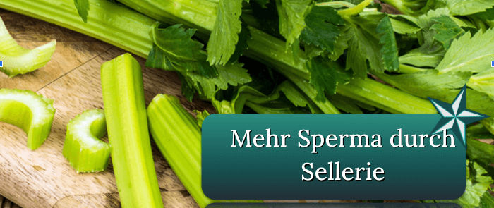 Sellerie auf einem Schneidebrett Sperma Sellerie