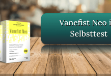 Vanefist Neo Titelbild