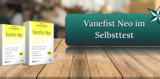 Vanefist Neo Titelbild