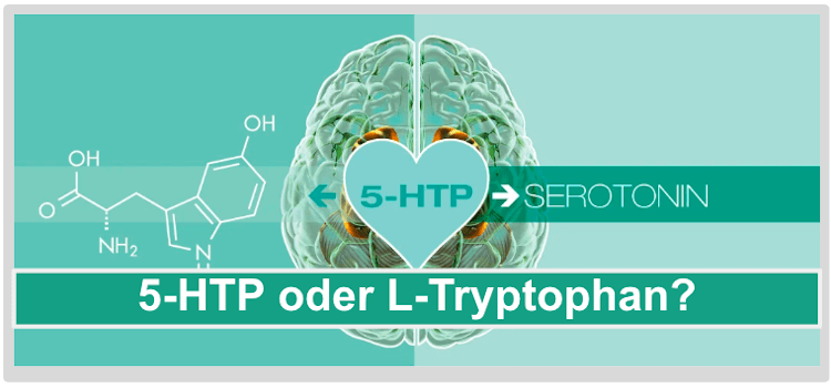 5-HTP oder L-Tryptophan