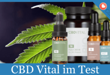 CBD Vital Titelbild