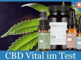 CBD Vital Titelbild