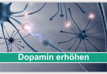 Dopamin erhöhen