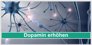 Dopamin erhöhen