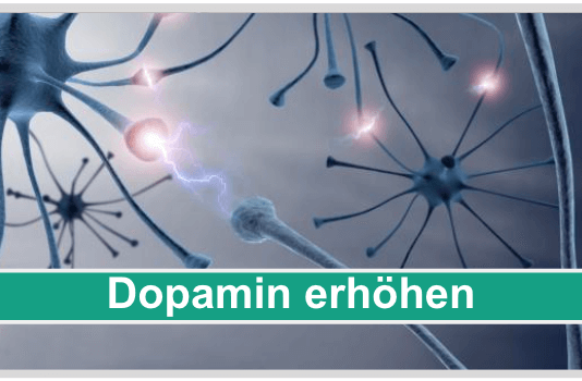 Dopamin erhöhen