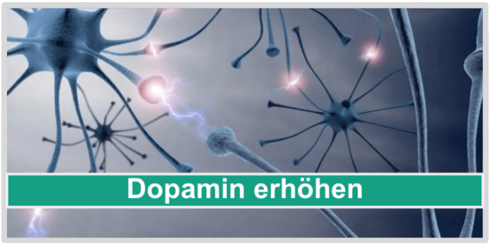 Dopamin erhöhen