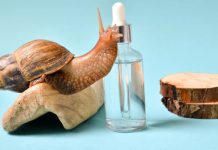 Schneckenschleim Creme Extrakt Hautpflege