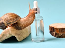 Schneckenschleim Creme Extrakt Hautpflege