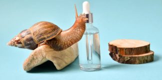 Schneckenschleim Creme Extrakt Hautpflege