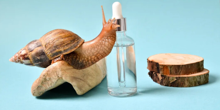 Schneckenschleim Creme Extrakt Hautpflege