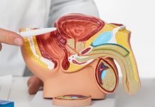 Prostata Funktion Probleme Symptome